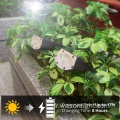 Wason Wholesale 20led a mis à niveau Ultra Bright IP65 extérieur imperméable paysage solaire Spotlight Porceau de jardin sans fil
